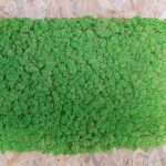 Polar Moss Flex Element small, elementi  lichene stabilizzato su feltro, dimensione 40 x 60 cm, fornito in scatole da 4 pezzi/cadauna, Colorazione MY GREEN 15